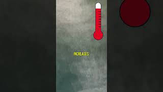 How Sea Surface Temperature Affects Climate Change 🌡️☁️