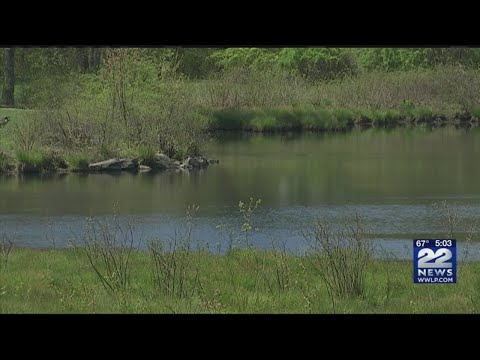 What is being done about discolored water in Ware