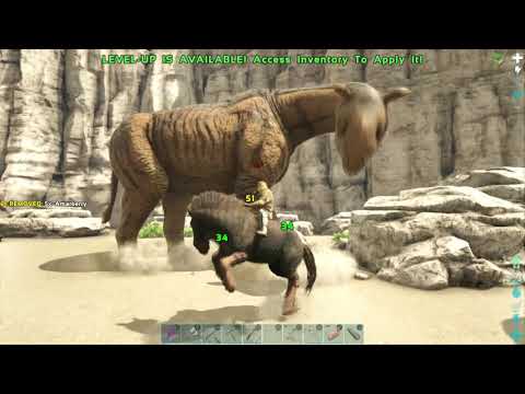 ARK: Survival Evolved paracer taming