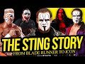 ICON The Sting Story Full Career Documentary
