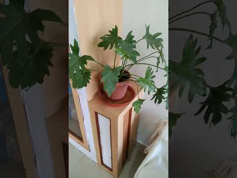 Don't make this mistake with your children #vasanthishankar #minimalism