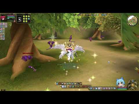 Insanity Flyff - Wilds Run with Seraph