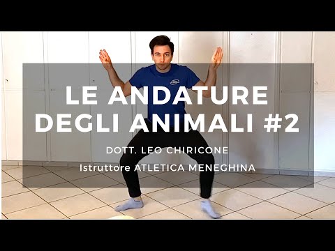 Andature degli animali #2 - Leo Chiricone - Atletica Meneghina
