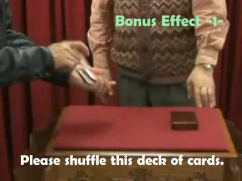 Card Case by Mikame Craft / SEO MAGIC USA