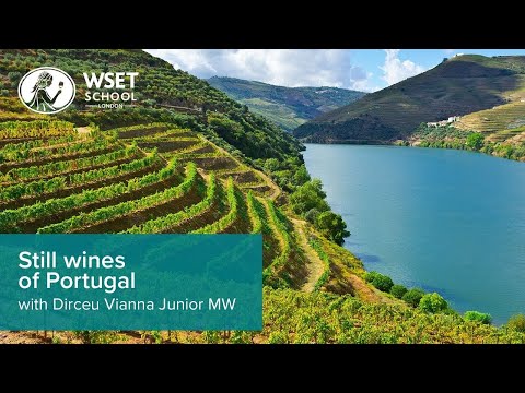 Still wines of Portugal: from north to south with Dirceu Vianna Junior MW