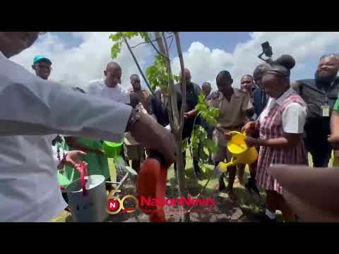 Nation Update PM Mottley plants tree with students to launch Green Rising