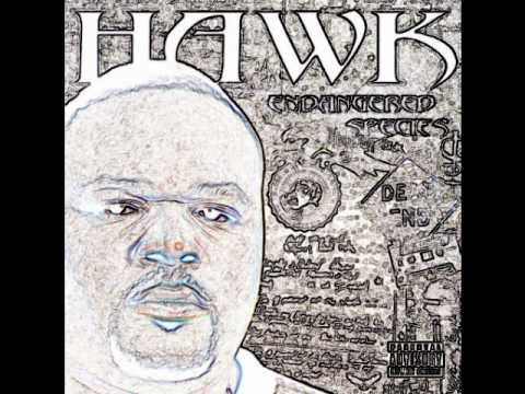 HAWK: I Like That Girl feat Lil O