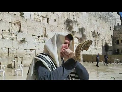 Neshoma - Danny Flam Shofar, Shea Berko, Meshorerim Choir & A Berko Production  - דני פלאם שופר