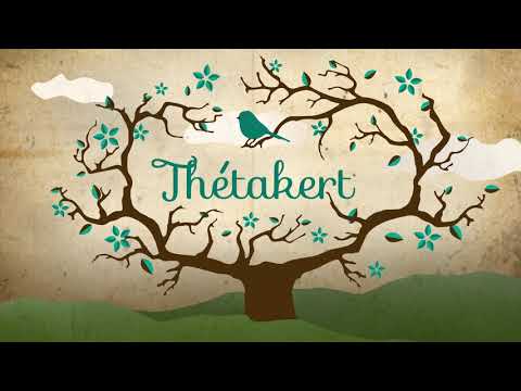 Önbizalom, lelki egyensúly és boldogságnövelő állítások