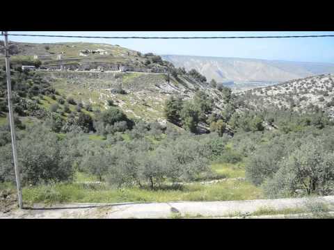 view from our home in umm qais 11/4/2014