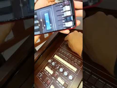 Registro do órgão tokai(4)