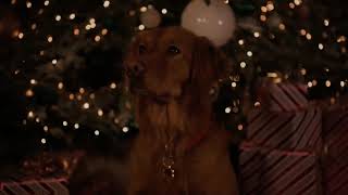 Elton John - White Christmas [with Rosie O&#39;Donnell]