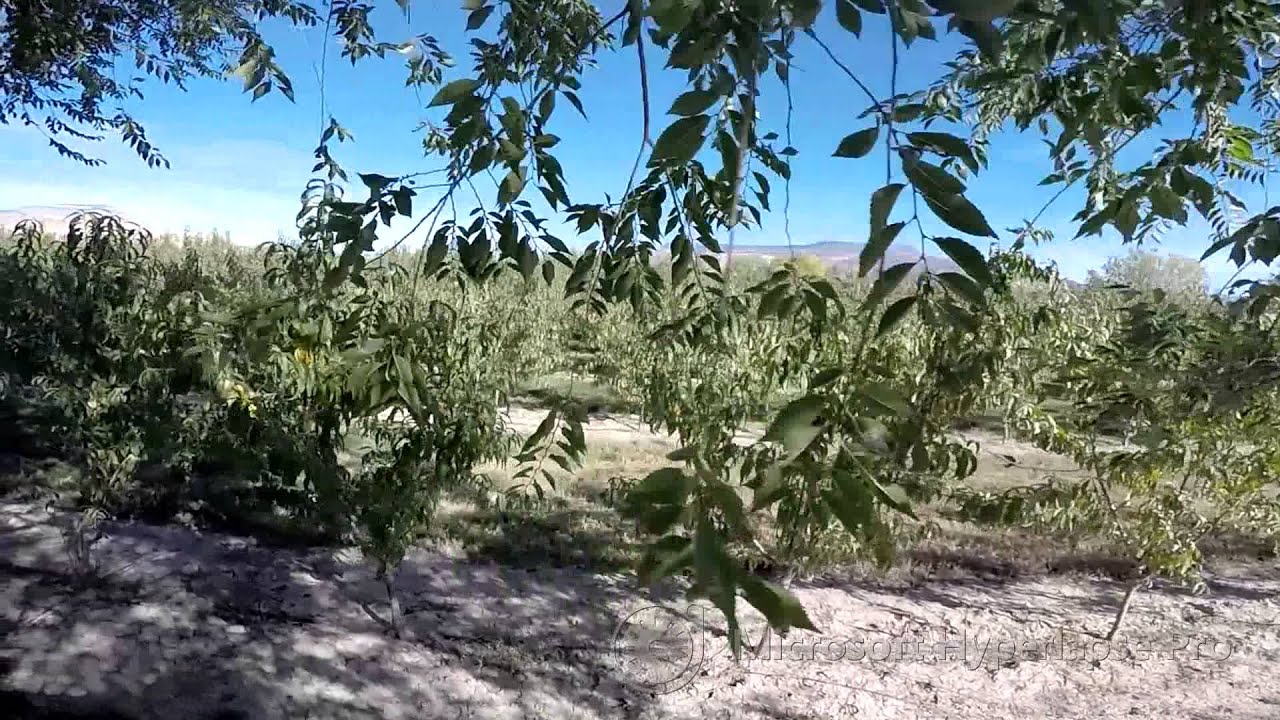 Video: GOPR4535 hyperlapse 1x std