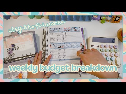 weekly low income budget with me january #3