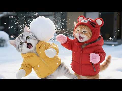 You’re Hit! Joyful First Winter Snowball Fight!