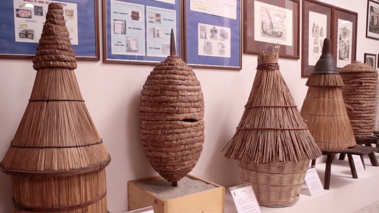 Museo di Apicoltura  Oderzo
