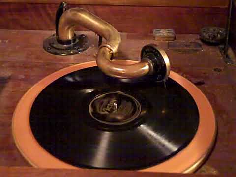 MEYER DAVIS'S LE PARADIS BAND BILLY MURRAY - LET IT RAIN, LET IT POUR - ROARING 20'S VICTROLA 8-30