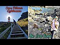 The Sea Lions Colony