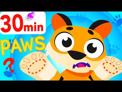 Where Are My Paws? Help Baby Tiger Boo Boo Find His Paws! Little Roaring Lion! by Little Angel