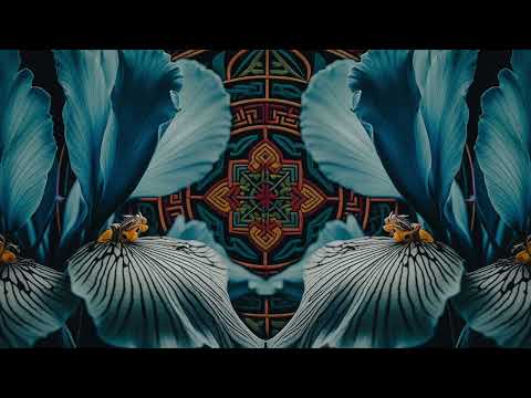 Iyakuh & Lo.Renzo - Interwoven EP (Shivelight Journey Mix) | Folktronica | Organic Downtempo