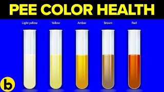 The Color Of Your Pee Can Say This About Your Health