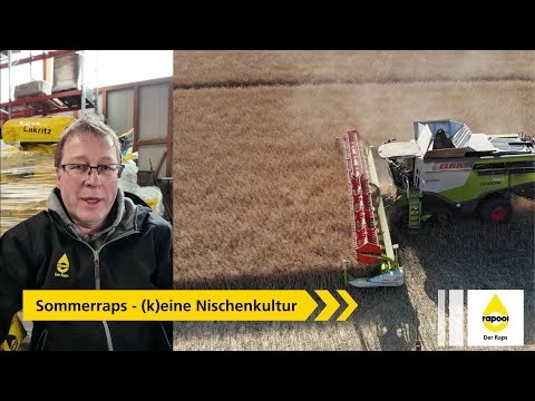 Sommerraps von RAPOOL - (k)eine Nischenkultur