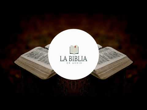 📖🔊ÉXODO: 21/ 22 /23/ 24 /25/🔊LA BIBLIA EN AUDIO[REINA VALERA 1960]🎶🔊