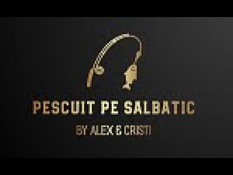 MILITARU LA PESCUIT PE DUNARE BECHET DOLJ || pescuit pe salbatic