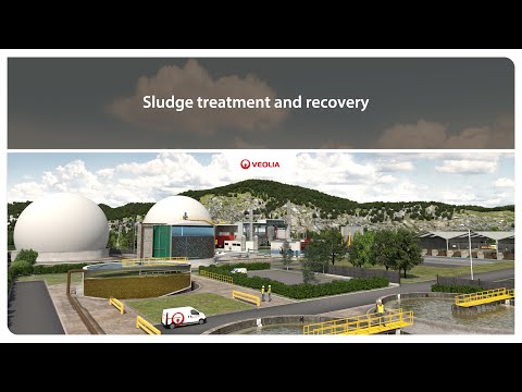 Sludge treatment and recovery | Veolia