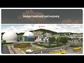Sludge Treatment And Recovery Veolia