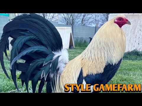 Grey Sweater Brownred - STYLE FARMS