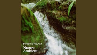 Download lagu Nature Ambient No.199 mp3