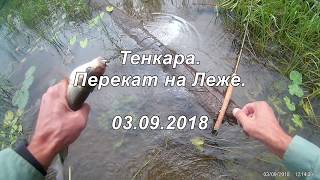 Рыбалка на реке лежа вологодская область
