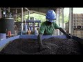Verde S BioFraction Plant In Lahad Datu Borneo