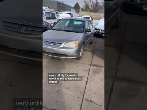 The rarest Honda Civic ! Almost impossible to find one with BOTH a bad engine and bad transmission !