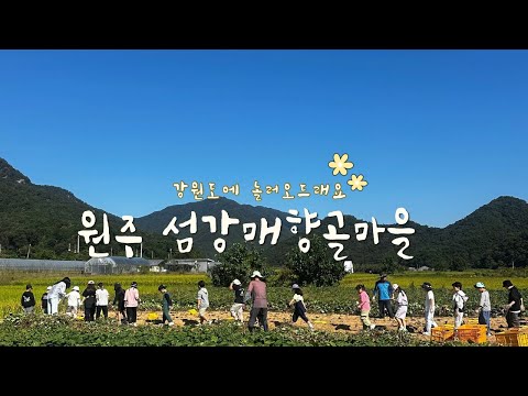 원주 섬강매향골마을
