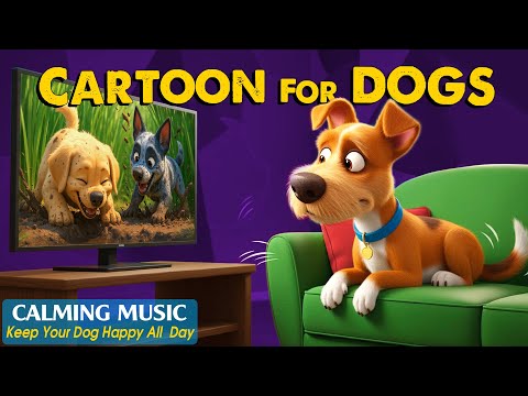 Dog Cartoon: (🔴24/7) Keep Your Dog Calm with Entertainment Videos for Dogs - Best Music for Dogs