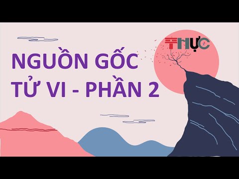 Nguồn gốc Tử Vi Phần 2 - Tử Vi Đẩu Số