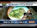 Lizard found in food served to a passenger on-board Poorva Express