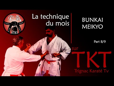 LA TECHNIQUE DU MOIS / BUNKAI MEIKYO - Partie 8/9