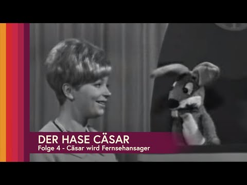 Hase Cäsar - Folge 4: Cäsar wird Fernsehansager (ganze Folge auf Deutsch)