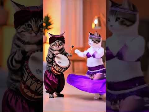 #trending#shorts#cute#cat#catdance #bellydance#dance#kudratcartoon