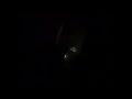 Kolkata Sonagachi New Video Red Lightarea Inside The Room Andar Ka Video Hai Sonagachi Kolkata