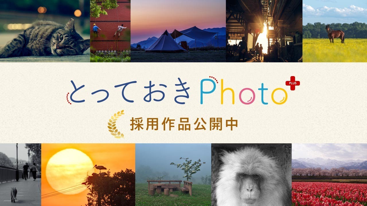 とっておきPhoto+ 採用作品［2025.10］PENTAX / GR --- RICOH IMAGING ---