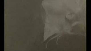 Crematory-Shadows of mine