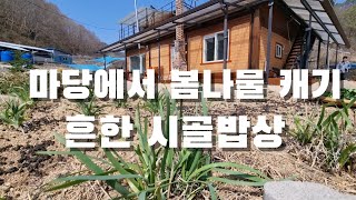 [시골일상 브이로그] 마당에서 봄나물 캐는 시골 클라스. 오늘은 이걸로 비벼먹자!!