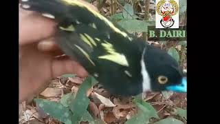 Download lagu MP3 jernih husus Sempur hujan mp3 Download lagu MP3 jernih husus Sempur hujan mp3