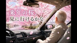 ep101【老後】来年の桜、見に行けるかな #老後 #介護 #シニアライフ #夫婦 #人生 #終活 #50代 #60代 #70代 #桜 #家族 #シニア #老後生活 #在宅介護 #人生観