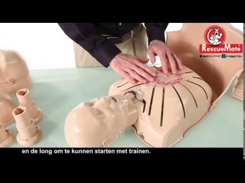 Prestan Ultralite Manikin 4-Pack