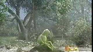 Sesame Street - On My Pond